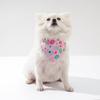 1 Packs Hund Bandana Kragen Welpen Halstuch Schal Lätzchen Für Katze Haustier Kragen Schal