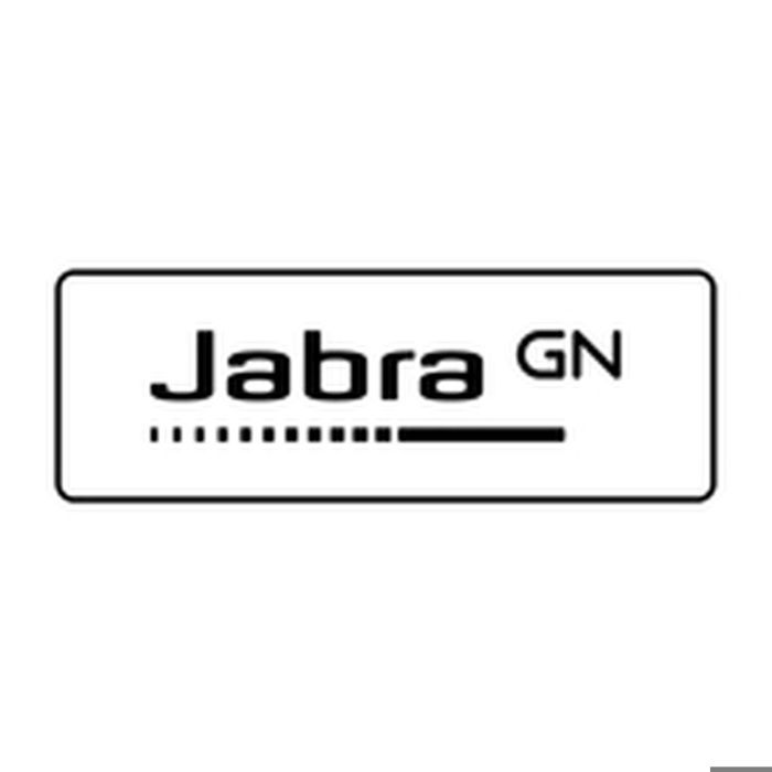 Headset - JABRA - Evolve 20 MS mono - Kabelgebunden - USB-C, USB-A - Over-Ear