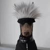 Jujutsu Kaisen Gojo Satoru Domácí oční maska potřeby kočka cos pokrývka hlavy klobouk dekorace ozdoba hlavy foto pes paruka Animace periferní
