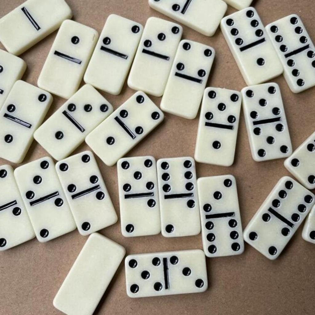 Double Six Domino Set Fun and Engaging Table Game Classic Board for Traveling