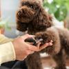 Electric Dog Clipper, Professional Grooming Kit, Pets Hair Trimmers, 3-Speed, Wireless, LED Display