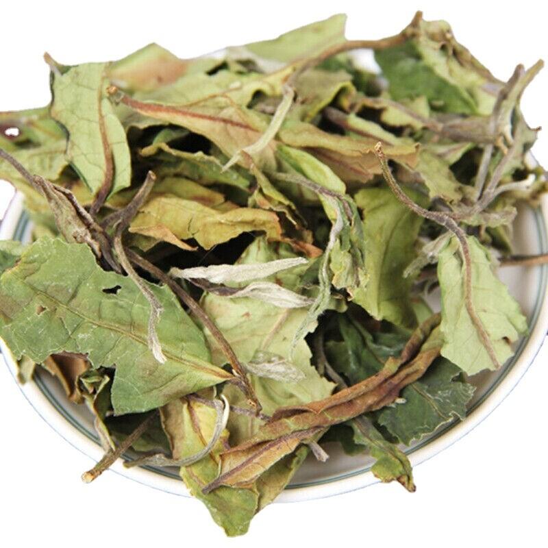 Yunnan White Tea Big Leaf Honey Fragrant Natural Loose Leaf 500g Premium