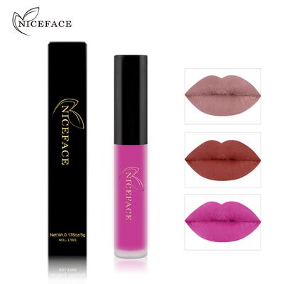 Matný Lesk na Rty Sametové Rty Make-up Nepřenosný Voděodolný Tón na Rty pro Denní Kosmetiku na Rty