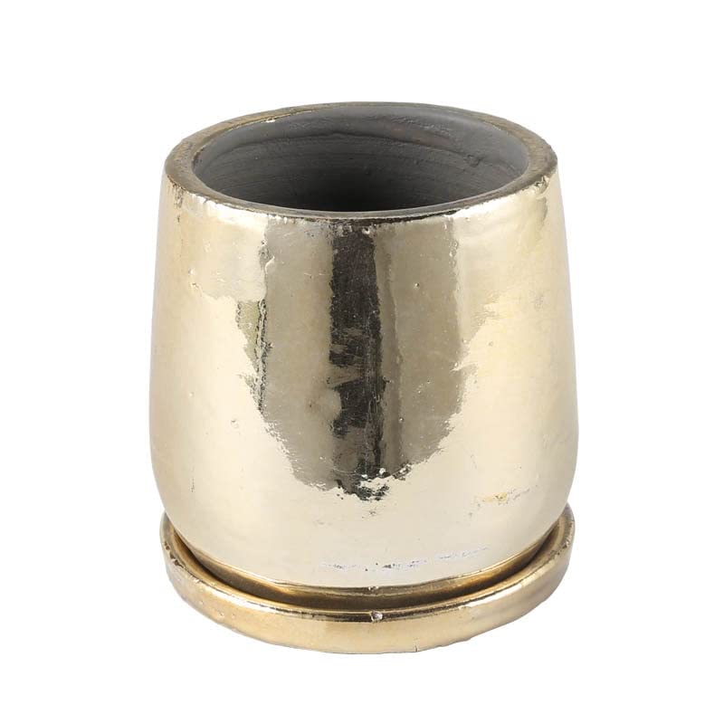 

Dalton ROUND POT GOLD M золотой