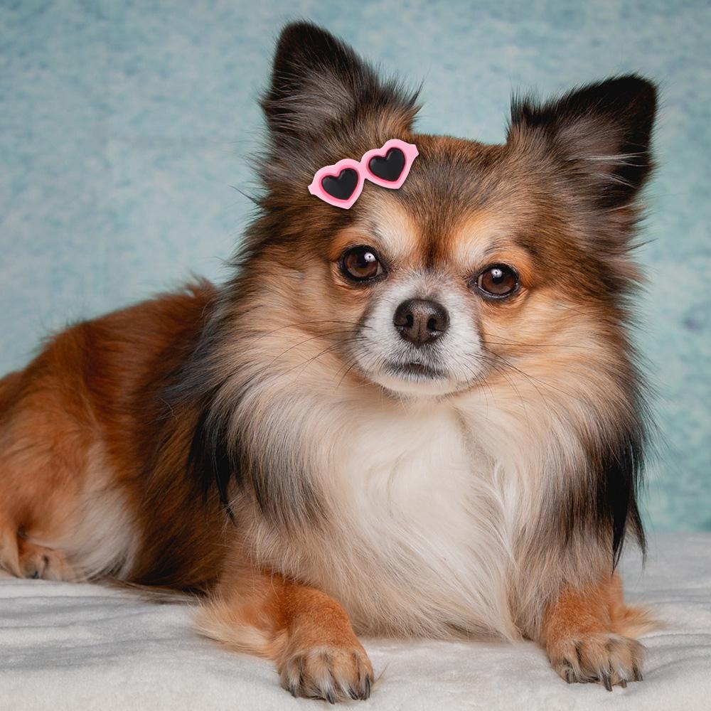 Pet Small Dog Cat Hair Clips Heart Sunglasses Shape Hairpins Lovely Puppy Bows Barrette Pet Supplies Grooming Hair Accessories