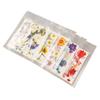 5 Bags Pressed Flowers Assorted Styles Vibrant Rich Details Multi Purpose Colorful Dried Flowers