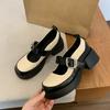 Mary Jane shoes British style black small leather shoes thick heel shallow mouth with single shoes round head platform loafers women's shoes