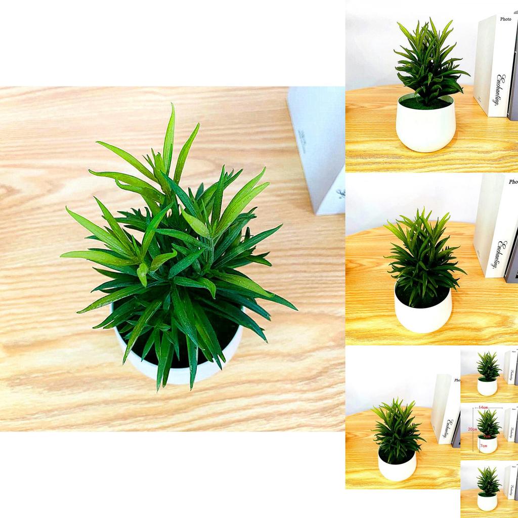Fake Succulent Plant Pot With Pvc Material For Home Decor And Office Display