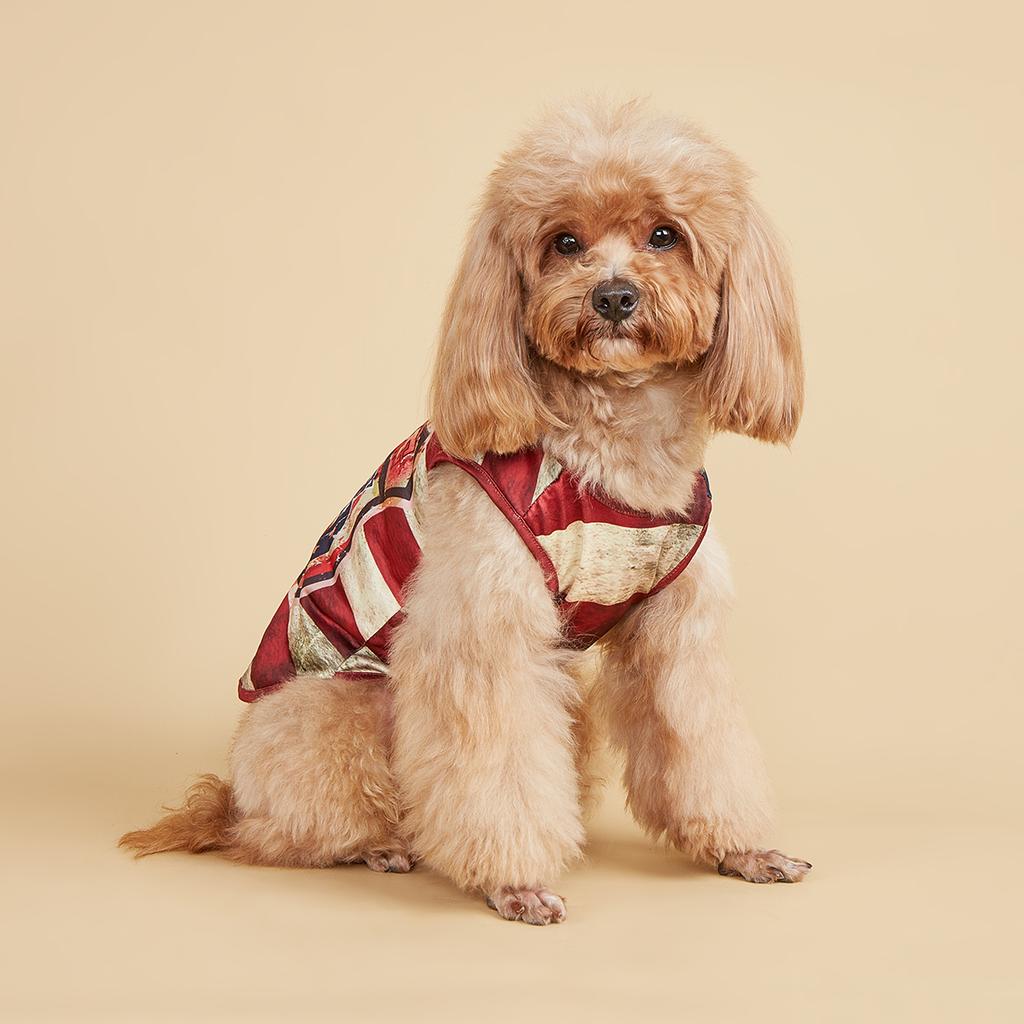 Ubranka dla zwierząt dla psa kota szczeniaka podkoszulka płaszcz bluza z amerykańską flagą stroje dla psa Dzień Niepodległości dla małego średniego psa Yorkie Ch