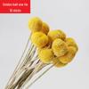 Preserved Eucalyptus & Sunflower Bouquet with Baby's Breath and Reeds – Perfect for Living Room Decor or Photography