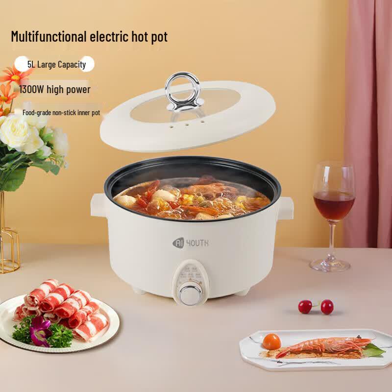AIYOUTH 5L Multi-Functional Electric Cooking Pot