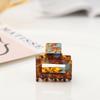 Square Shark Hairpins Acetic Acid Hair Clips for Women Girls' Outdoor Hair Ornaments Hair Jewelry Pins