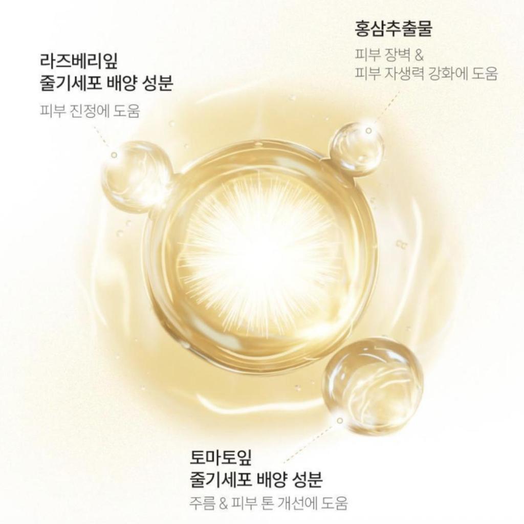 [LBB] Intensive Soothing Ampoule 60ml