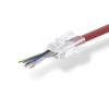 Connecteur RJ45 - NEDIS - CCGB89330TP - Solide UTP CAT5 - Plaqué or - Transparent