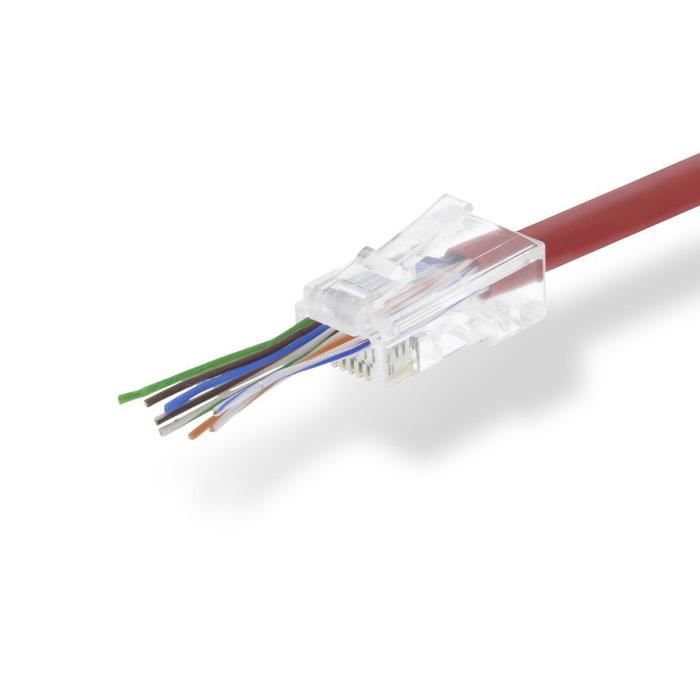 Connecteur RJ45 - NEDIS - CCGB89330TP - Solide UTP CAT5 - Plaqué or - Transparent