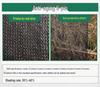 Thickened Encrypted Outdoor Sun Net for Vegetable Fields and Greenhouses