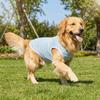 Soft Dog Cooling Vest Round Neck Dog Sunscreen Vest Fashion Pet Striped T-Shirt  Home Clothes