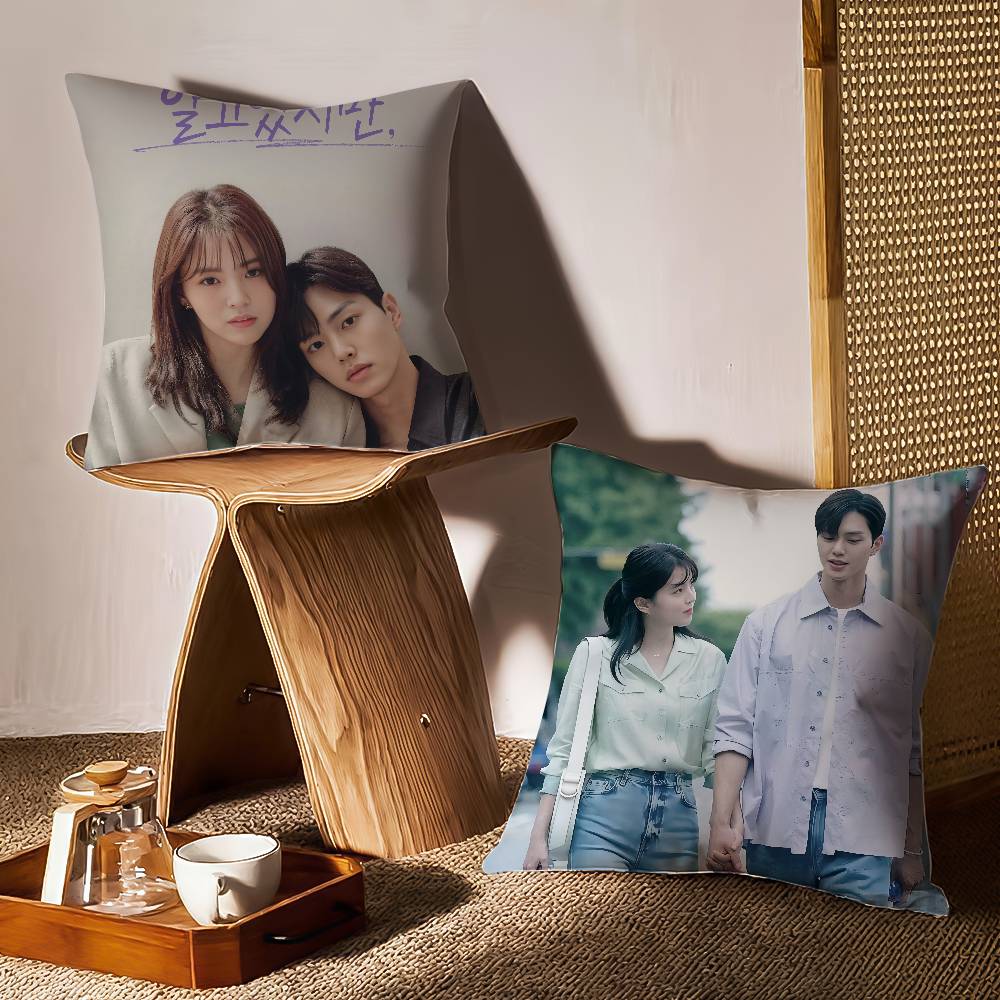 N-Dennoch Kissenbezug Sofa und Wohnzimmer Dekorative Kissenbezüge Staubdicht und Milbendicht Unsichtbarer Reißverschluss