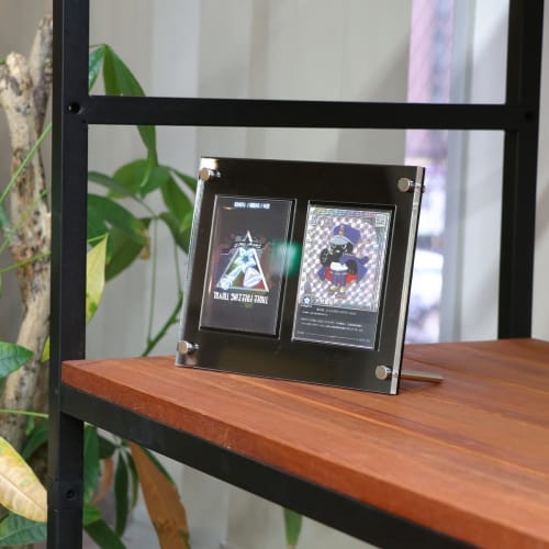 UV-Cut Shield PRO 2-Row Display Case for Trading Cards, Sun Protection, Screw-Down Clear Frame with Groove, Perfect for Storage, Exhibition, and Colle