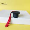 20Pcs Felt Mini Graduation Bachelor Hat with Tassels Celebrations Graduation Wine Bottle Topper Graduation Party Supplies
