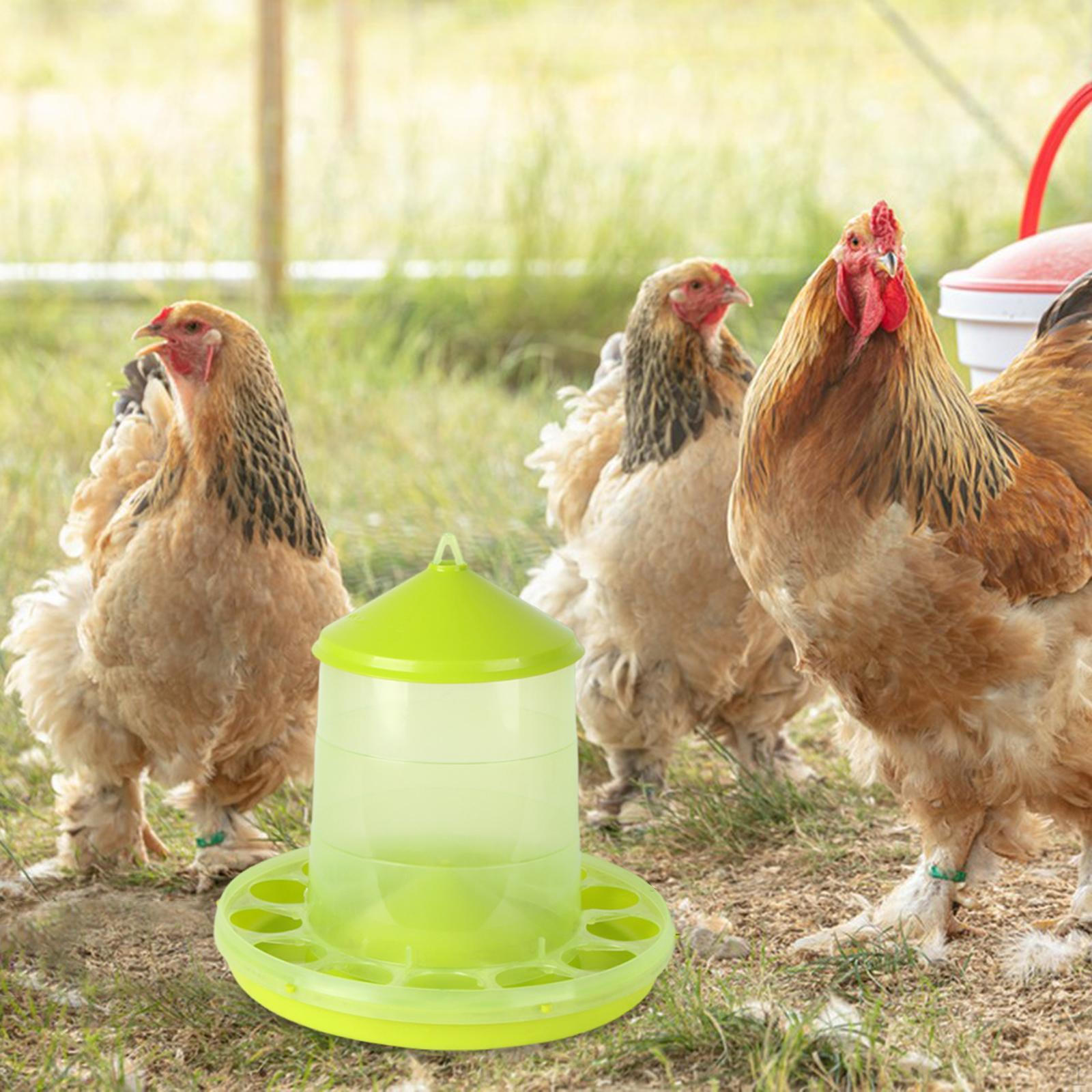 

Автоматическая кормушка для кур Легко чистить Аксессуары для курятника Кормовое ведро с несколькими отверстиями для газона Style A