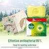 Dettol Mint Antiseptic Soap