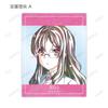 Rascal Does Not Dream of Bunny Girl Senpai Trading Ani Art 3 Acrylic Cards Box of 12 Vol.