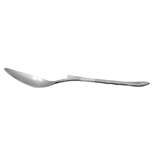 Takagi Stainless Steel Coffee Spoon (1 Piece) Made in Japan