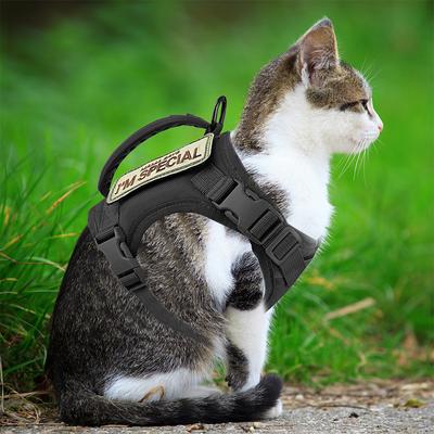 Tactical Cat Harness Adjustable Vest For Military Service Puppy Kitten Small Dogs Harnesses Walking Training Cat Accessories