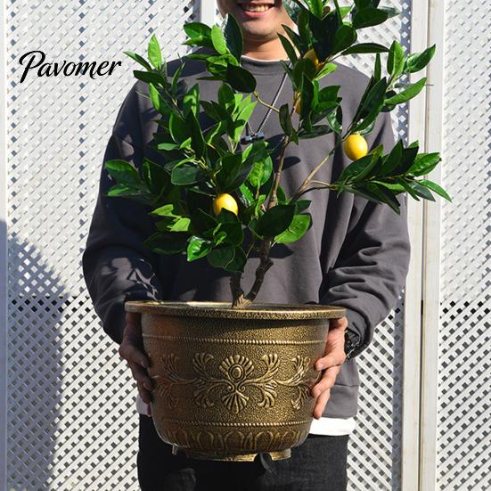 Indoor Outdoor Flower Container Water Lily Planter, Vintage Round Plant Pot, Without Drainage Hole, Large Planter for Bougainvillea Extra Plastic Pot