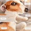 Realistic Dog Stuffed Toy Embarrassed Animal Puppy Toy Creative Dog Plush Pillow  Kids Toy