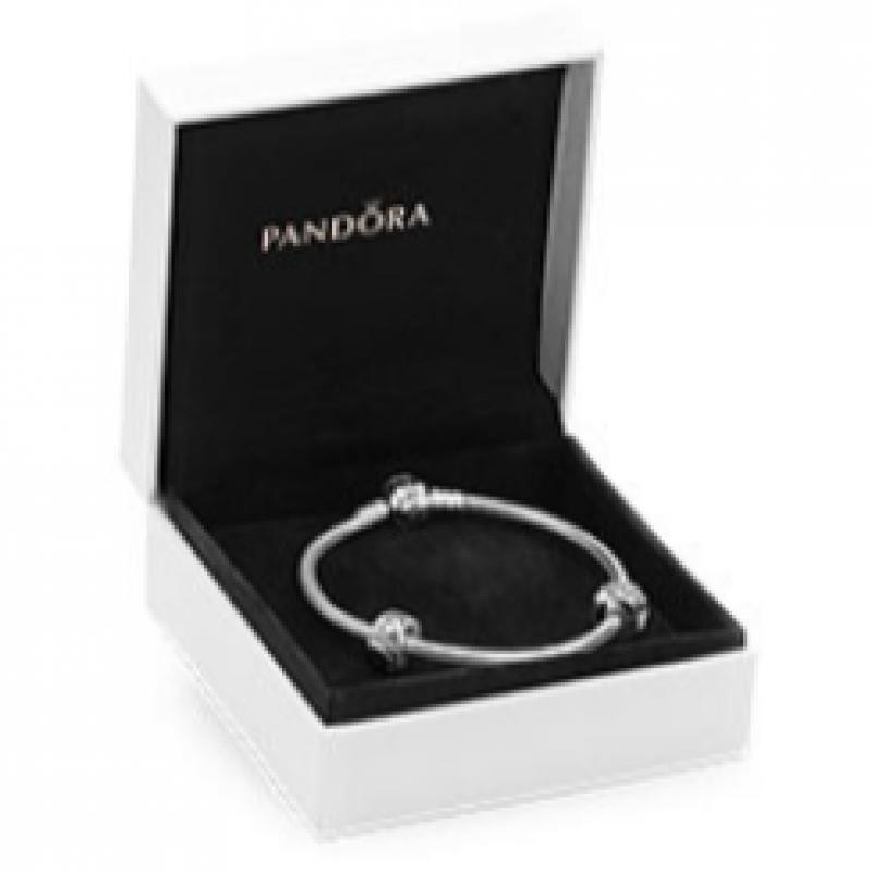 Pandora Moments Silver Classic Bracelet 590702hv