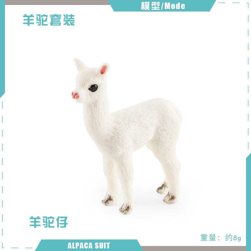 

Wild Animal Alpaca Miniatures Solid Simulation Model Figures Home Decor Zoo Education Toy Collection Ornaments Kids Gifts