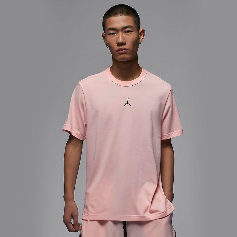 Jordan T Shirt Men's Legend Pink FN5830-622