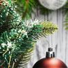 600x Hooks For Christmas Tree Decorations - Double Hooks For Christmas Tree Decorations - Perfect For Decoration Pendants