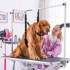 Dog Grooming Loops With Belly Strap For Table Arm Extender, Clamp Loop Bathing Restraint Leash
