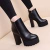 2025 New Autumn and Winter High Heels Short Boots Women's Thick Heel Single Boots Warm Velvet Waterproof Table Martin Boots Women's Boots