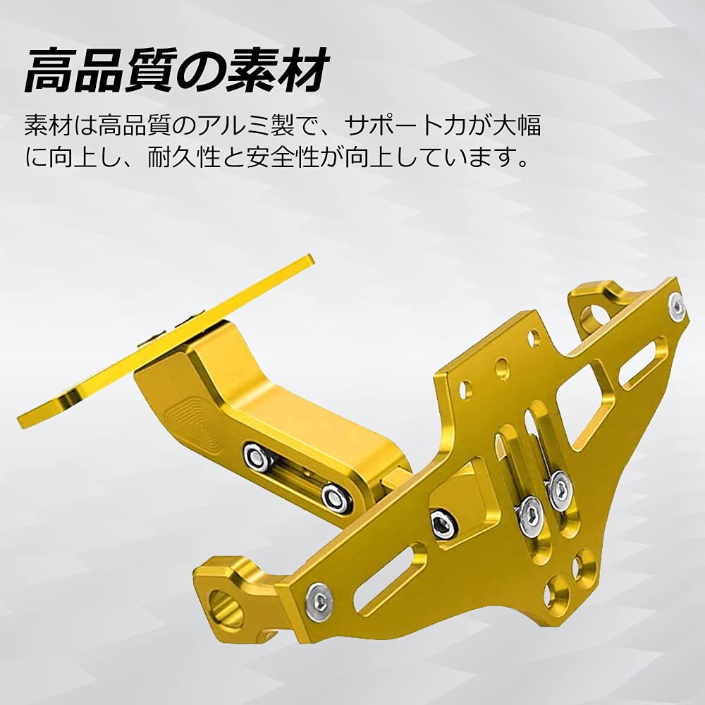 GREENBEAN Motorcycle License Plate Fender Tilt Holder, Adjustable Angle, Machined Aluminum with LED Light, Gold