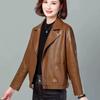 Haining Short Leather Jacket Women's Autumn Loose Short Slim Locomotive Suit Slim Women's Leather Jacket