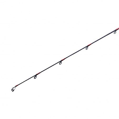 SHIMANO Salt Water Rod Tairaba Enugetsu XR 2021 Model Offshore Tairaba B610ML-S/R