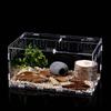 Container Feeding Box Snakes Breeding Box Reptile Incubator Insect Supplies Hatching Terrariums