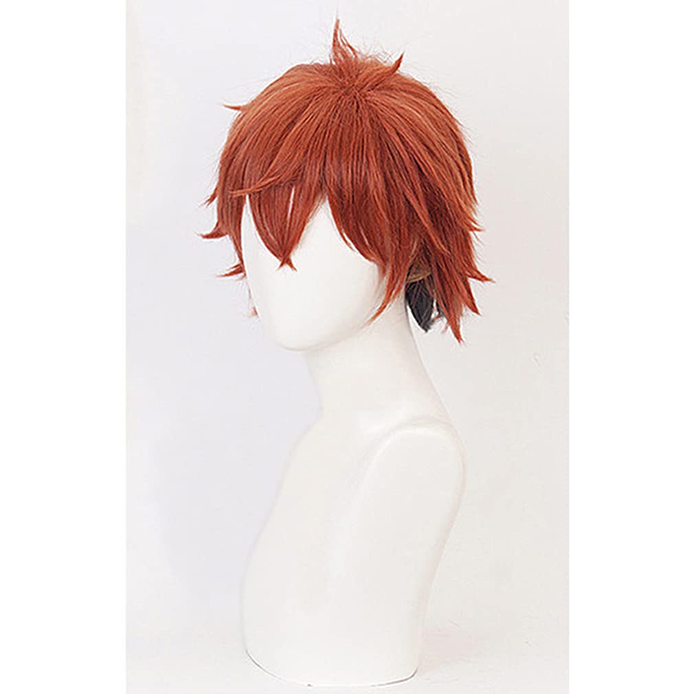 LAOBAO Cosplay Wig, Red Hair with Black Mesh, Short Hair, Heat Resistant, Disguise Wig, Costume Accessory, Party, Fancy Dress, Halloween, Festival, Ev