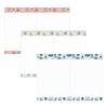 2026 Planner, Weekly Left, Starting December 2025, B6 Size, Paul & Joe, Nunett Navy, Marks, 26WDR-PJH01-NV