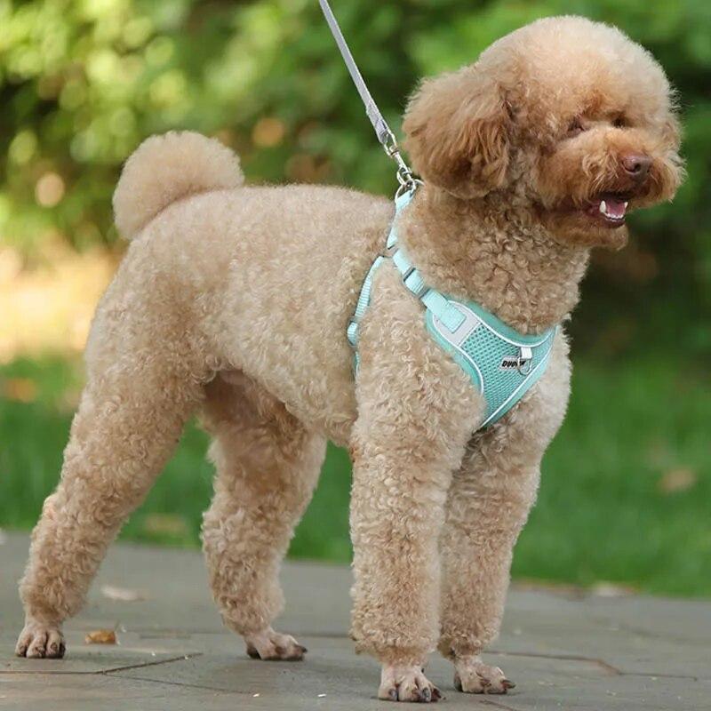 Puppy Chest Strap Chihuahua Harness Clothes Vest Small Medium Dog Harness Leash Set Pug Reflective Walking Straps Pet Supplies