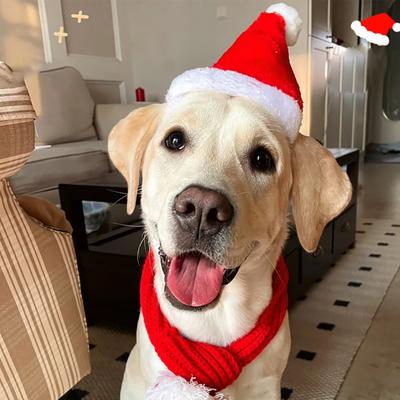 Pet Christmas Hat And Scarf Red Fluffy Hat Scarf with Pompom Warm Winter Pet Xmas Dress-up Outfit for Dogs And Cats Festive Photos Party Costume