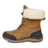 Adirondack III Boot