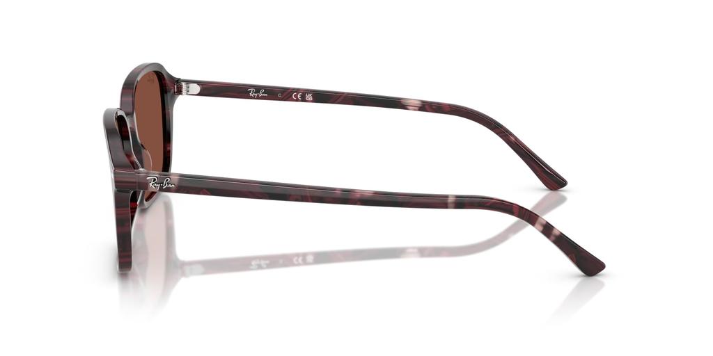 Sunglasses 0RB2231F TRANSPARENT FANTASY 56 [Ray-Ban] VIOLET/RED