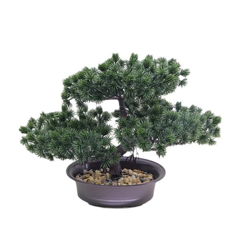 Plastics Changpai Scotch Pine Thuja Sutchuenensis Green Plant With Pot And Stone