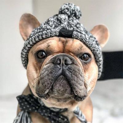 Warme gestrickte Haustiermütze Winddichte Kopfbedeckung für Herbst Winter Französische Bulldoggenmütze für Hunde Chihuahua-Mütze Flauschiger Ball Haustiermütze