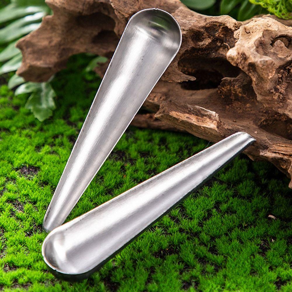 3Pcs Stainless Steel Feeding Tool Feeding Bird Supplies Pet Bird Food Spoon Bird Cage Bird Spoon